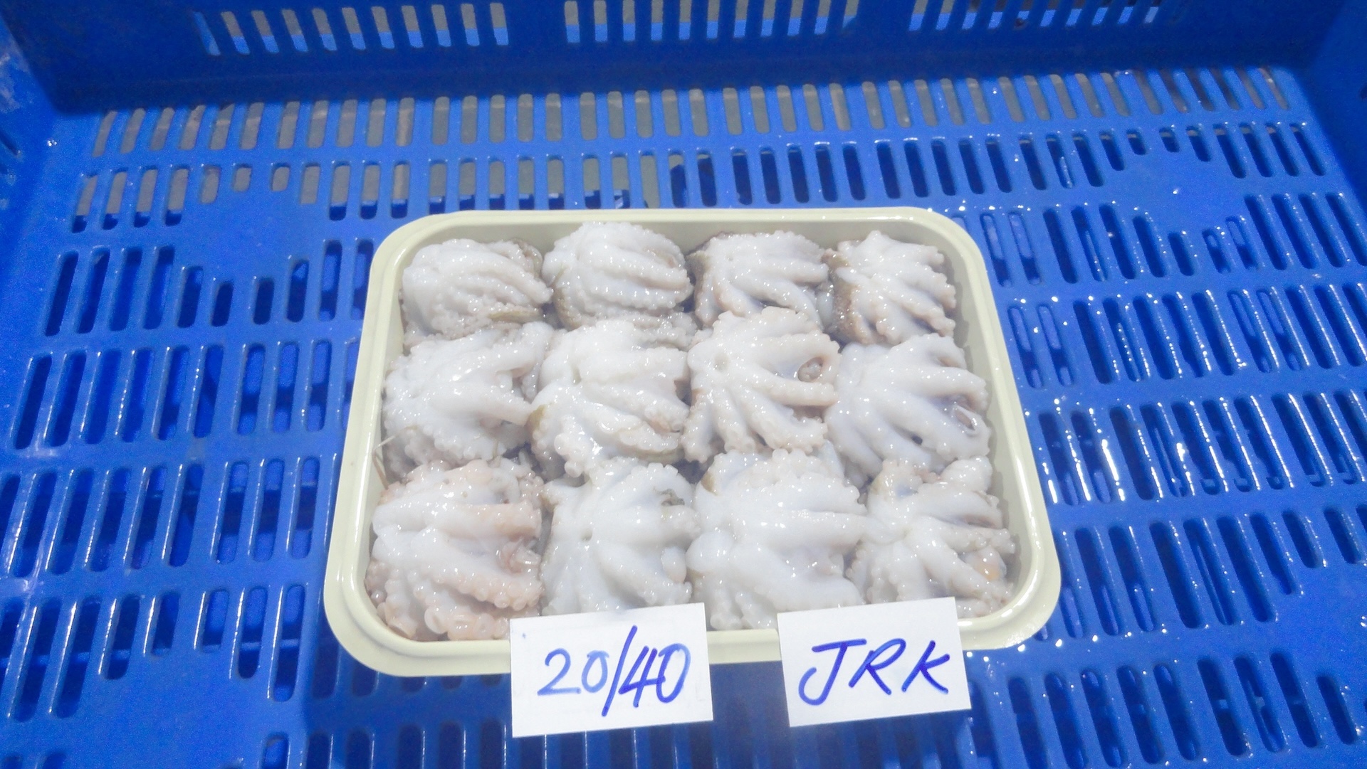Octopus-Tray-Pack